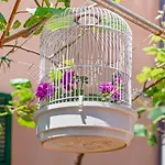 Un'oasi Al Mare Appartement