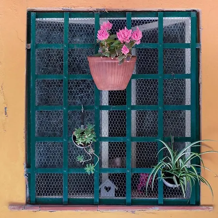 Un'oasi Al Mare * Moneglia